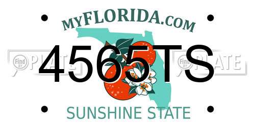 4565TS Florida License Plate