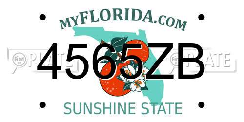 4565ZB Florida License Plate