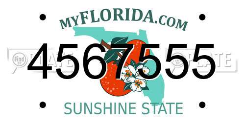 4567555 Florida License Plate