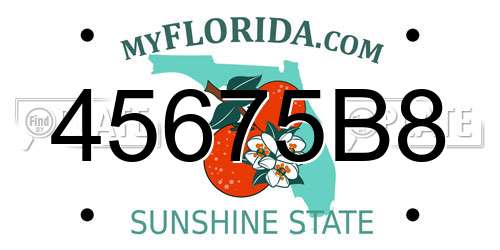 45675B8 Florida License Plate