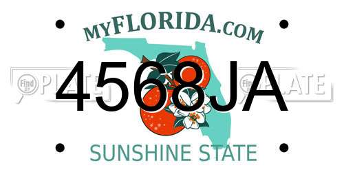 4568JA Florida License Plate