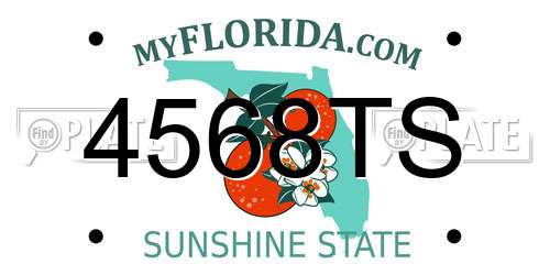 4568TS Florida License Plate