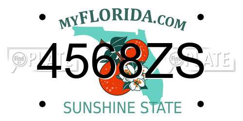 4568ZS Florida License Plate