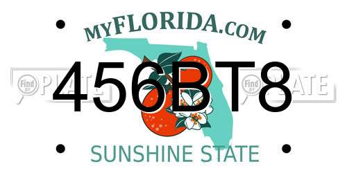 456BT8 Florida License Plate