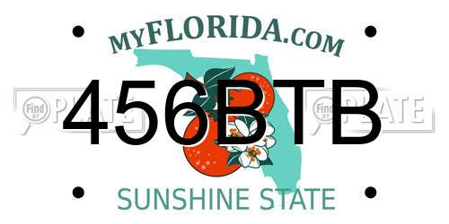456BTB Florida License Plate