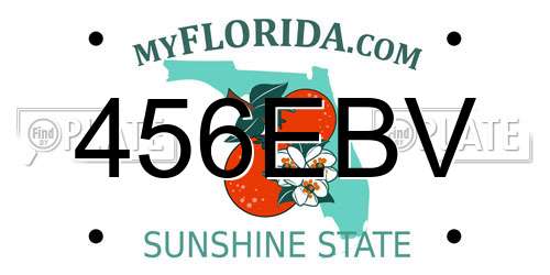 456EBV Florida License Plate
