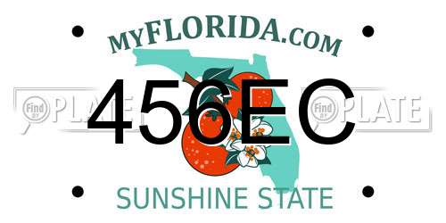 456EC Florida License Plate