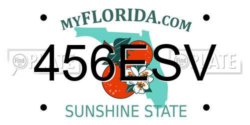 456ESV Florida License Plate
