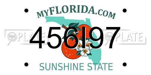 456I97 Florida License Plate