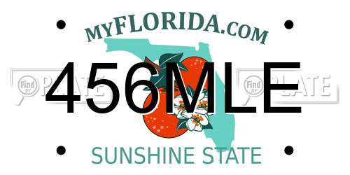 456MLE Florida License Plate