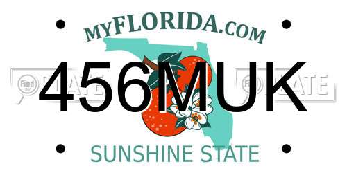 456MUK Florida License Plate