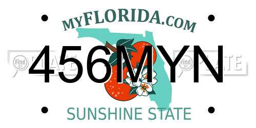 456MYN Florida License Plate