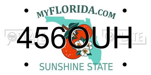 456OUH Florida License Plate
