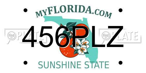 456PLZ Florida License Plate