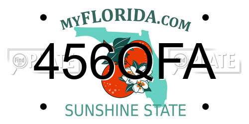 456QFA Florida License Plate