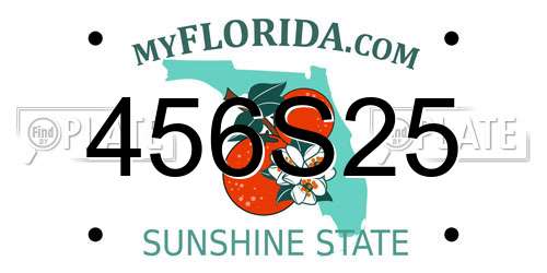 456S25 Florida License Plate