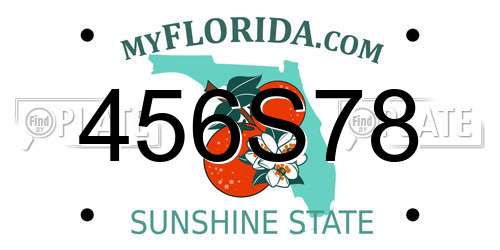 456S78 Florida License Plate