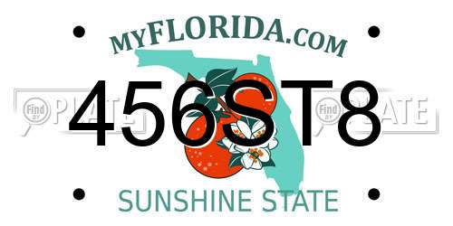 456ST8 Florida License Plate