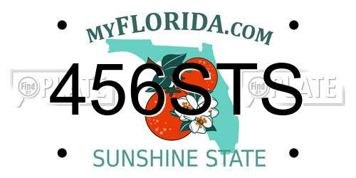 456STS Florida License Plate