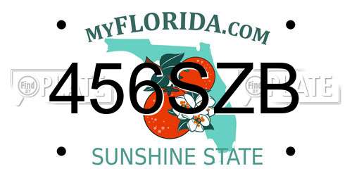 456SZB Florida License Plate