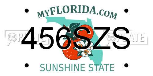 456SZS Florida License Plate