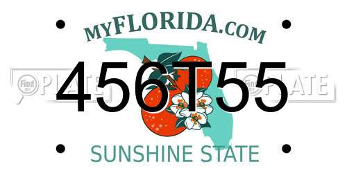 456T55 Florida License Plate