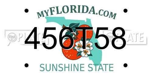 456T58 Florida License Plate