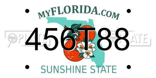 456T88 Florida License Plate