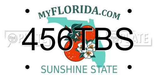 456TBS Florida License Plate