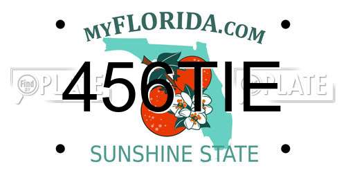 456TIE Florida License Plate