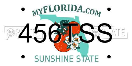 456TSS Florida License Plate