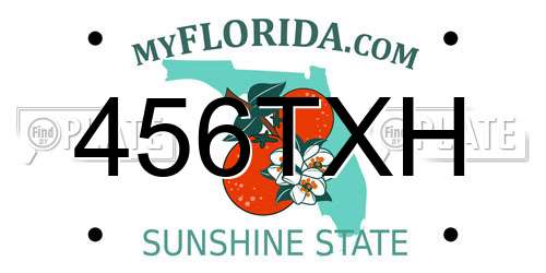 456TXH Florida License Plate