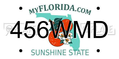 456WMD Florida License Plate