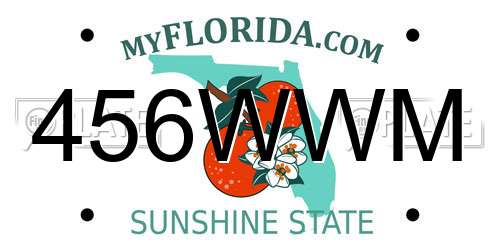 456WWM Florida License Plate