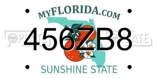 456ZB8 Florida License Plate