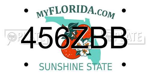 456ZBB Florida License Plate
