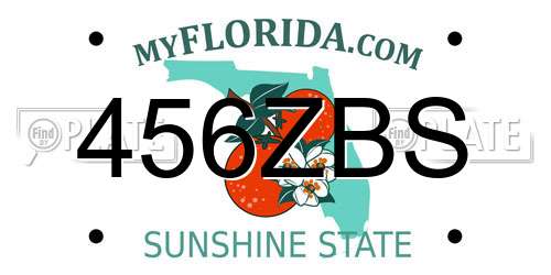 456ZBS Florida License Plate