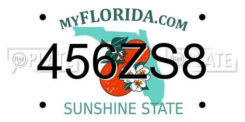 456ZS8 Florida License Plate