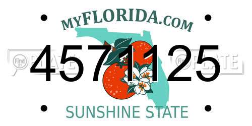 4571125 Florida License Plate