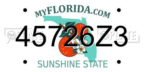 45726Z3 Florida License Plate