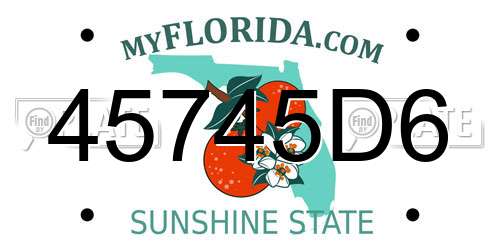 45745D6 Florida License Plate