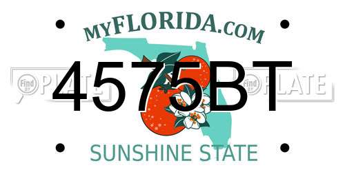 4575BT Florida License Plate