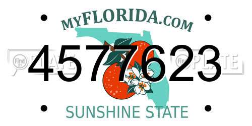 4577623 Florida License Plate