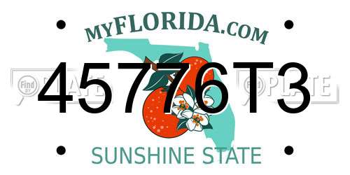 45776T3 Florida License Plate