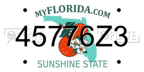 45776Z3 Florida License Plate