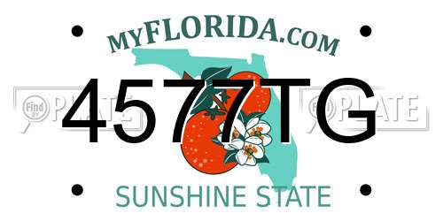 4577TG Florida License Plate