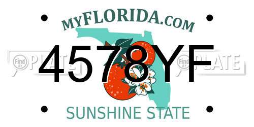 4578YF Florida License Plate