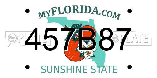 457B87 Florida License Plate