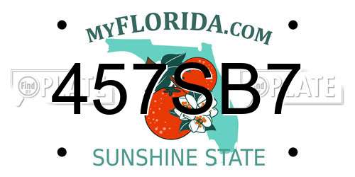 457SB7 Florida License Plate