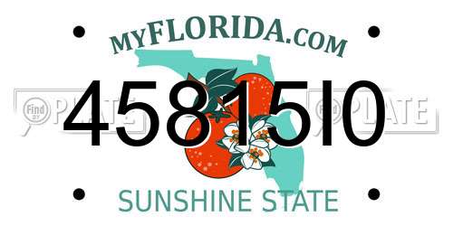45815I0 Florida License Plate